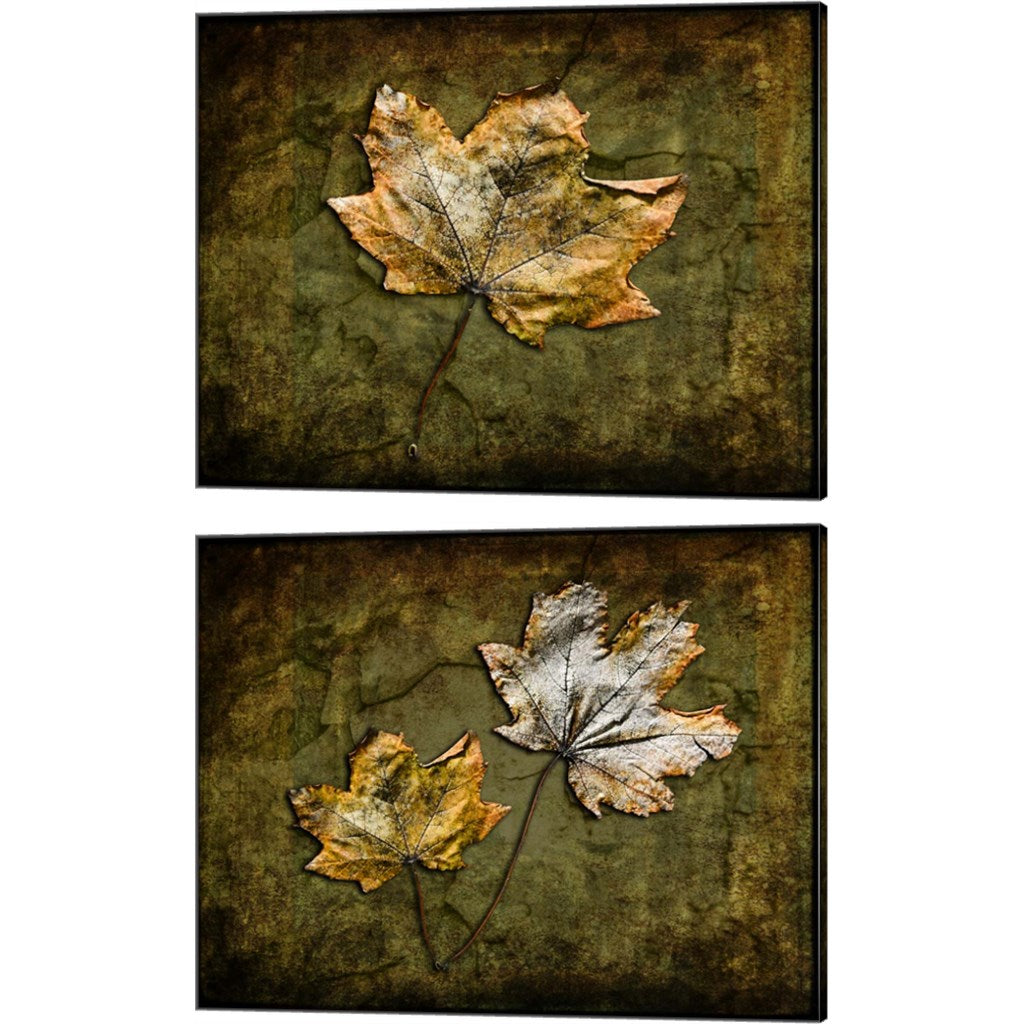 Metallic Leaf by LightBoxJournal, 2 Piece Canvas Art Set