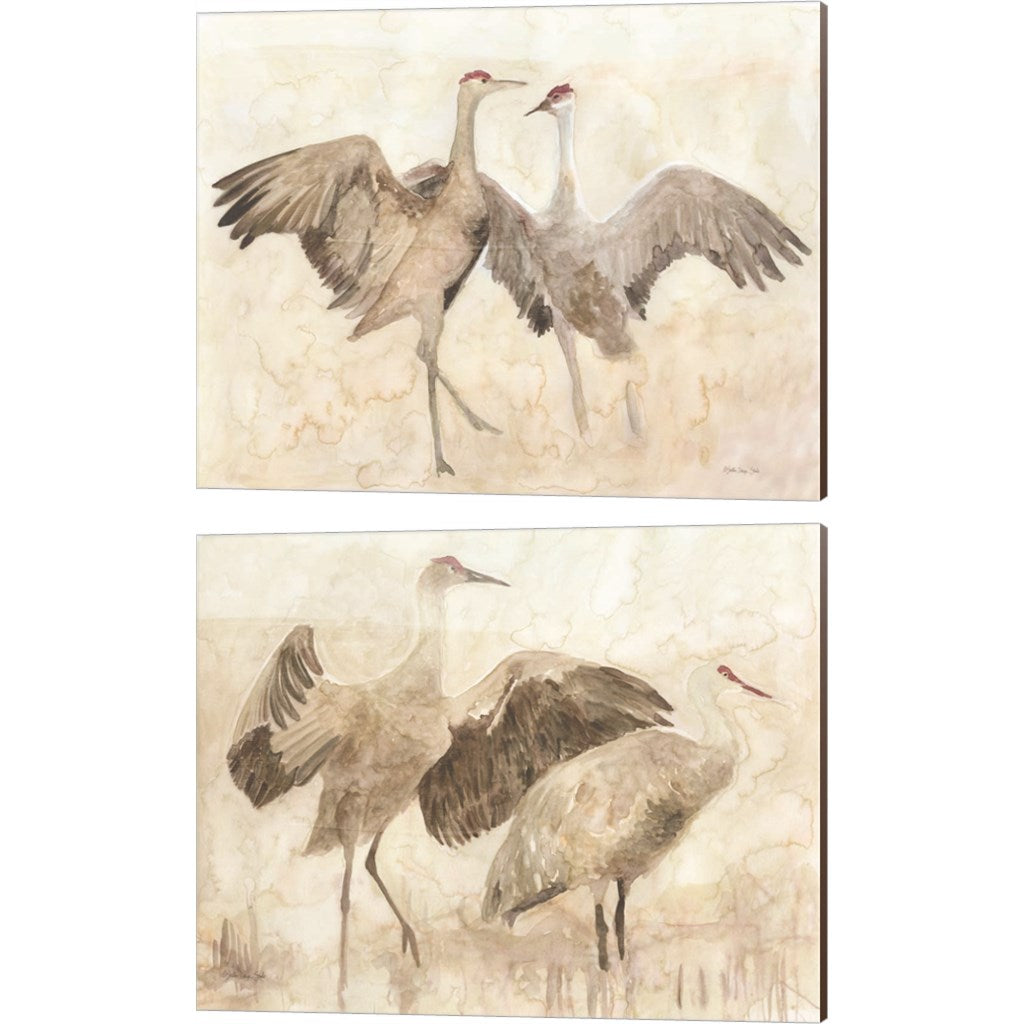 Sandhill Cranes by Stellar Design Studio, 2 Piece Canvas Art Set