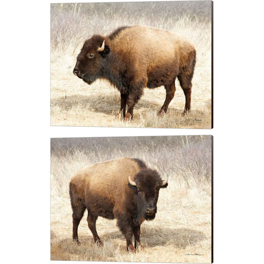 American Bison by Debra Van Swearingen, 2 Piece Canvas Art Set